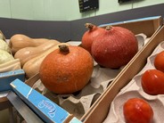 IMG_0105.JPG
